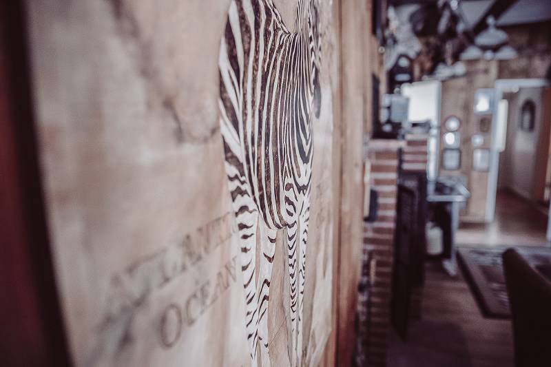 ferienwohnung-cottage-drei-37441-bad-sachsa-nuexei-harz-kaminzimmer-deko