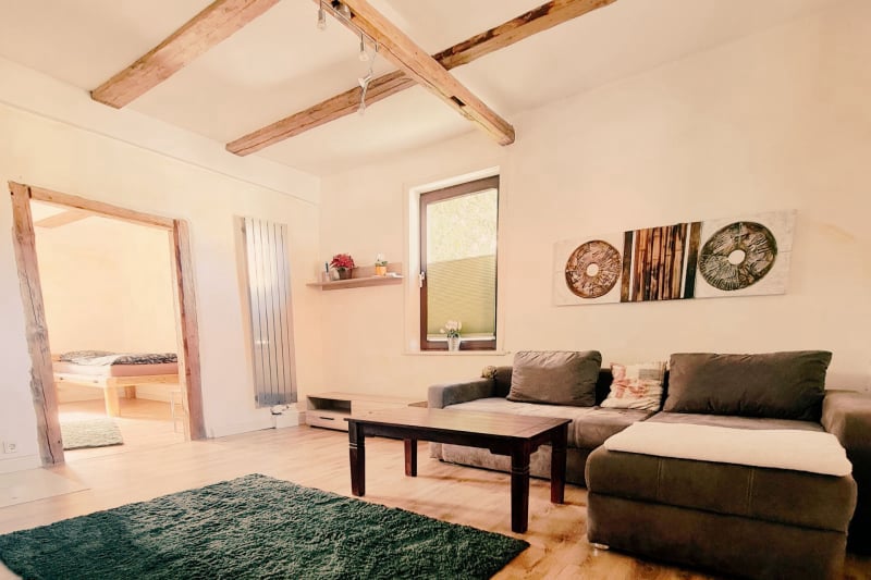 ferienwohnung-cottage-zwei-37441-bad-sachsa-nuexei-harz-wohnraum